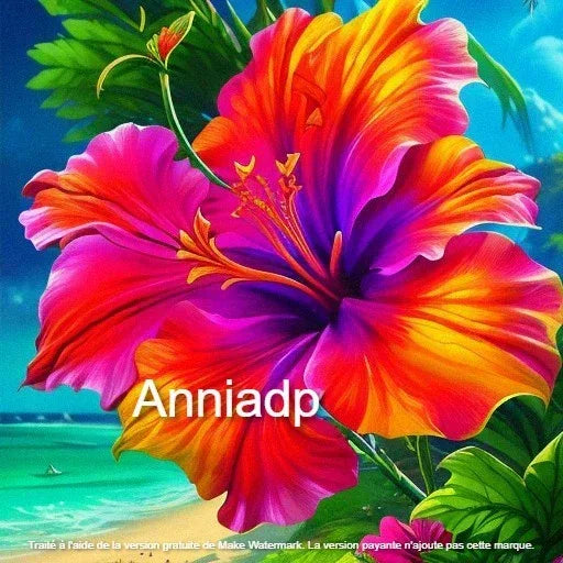 Destockage Hibiscus - Anniadp
