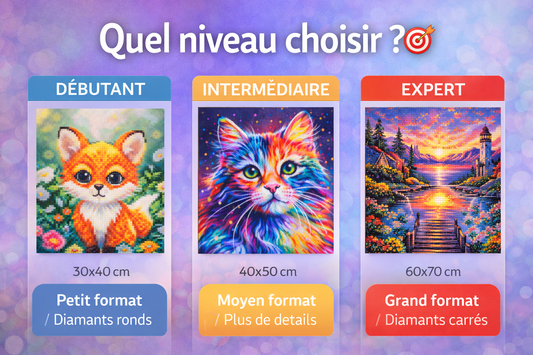 Comment choisir son diamond painting ? Guide selon votre niveau - Anniadp