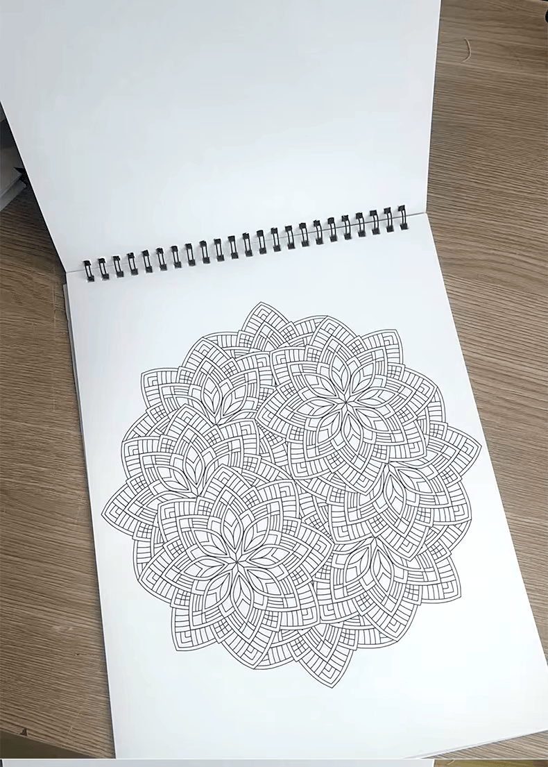 Livre de Coloriage Mandalas Premium