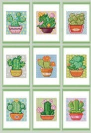 Mini Kit Thème Cactus