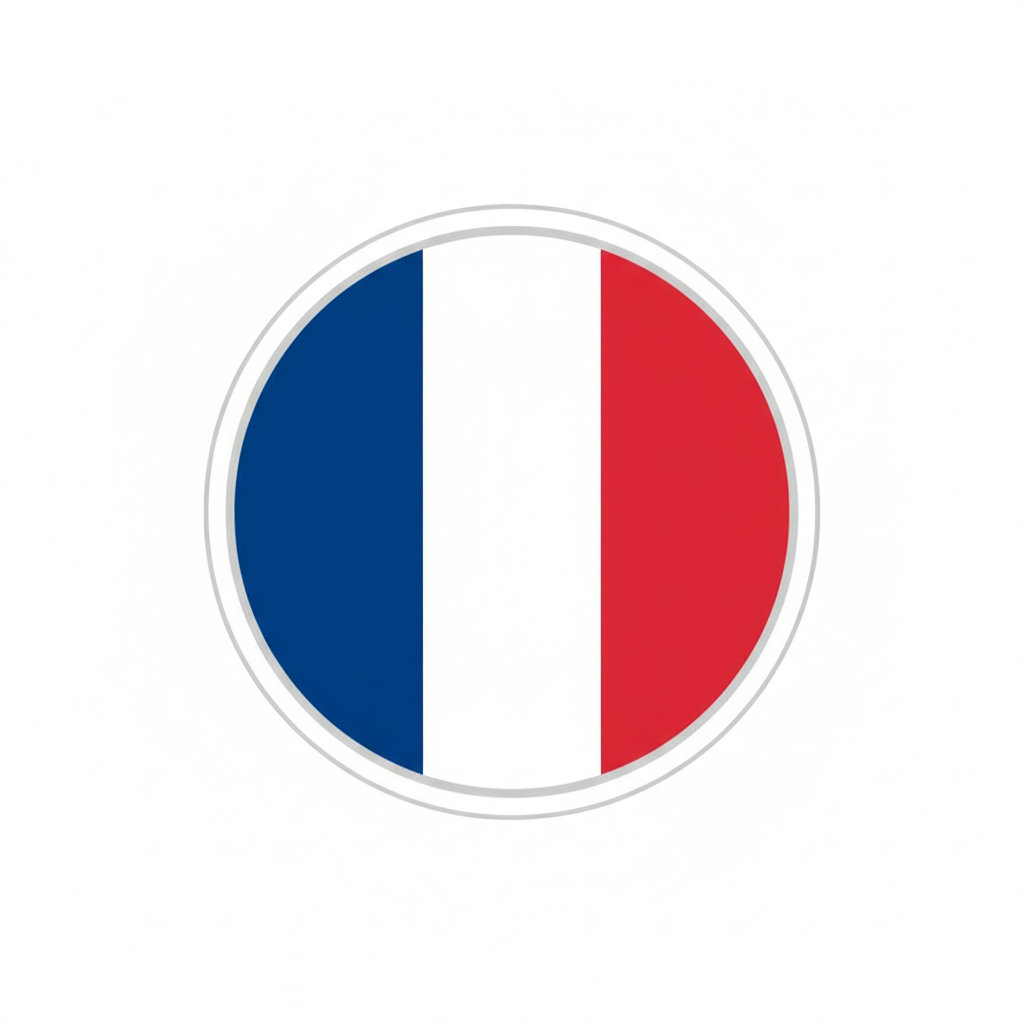Icône Drapeau Français